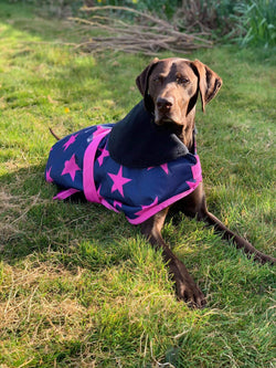 END OF LINE OFFER WAS £25 now £15. Only XS and S left. Pink Stars Waterproof Dog Coat