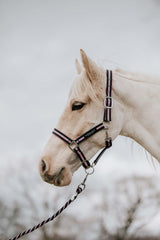 BUNDLE OFFER - Navy and Pink Stripe Fleece, Exercise Sheet, Headcollar and Saddle Cover
