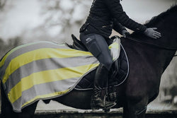 BUNDLE OFFER - Grey and Lemon Stripe Fleece, Exercise Sheet, Headcollar and Saddle Cover