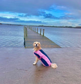 Navy and Pink Fleece Dog Coat