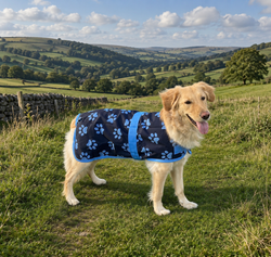 Blue Paws Dog Coat