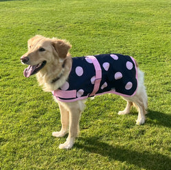Pink Spotty Dog Coat