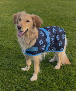 Blue Paws Dog Coat
