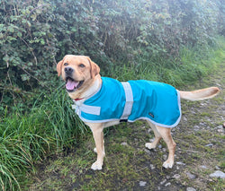 Blue/Teal (no fleece or filling) Waterproof Dog Coat