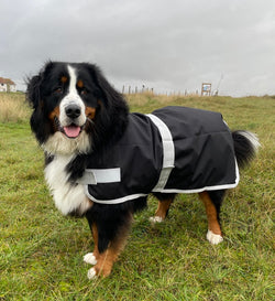 Black Waterproof Dog Coat (no fleece or filling)