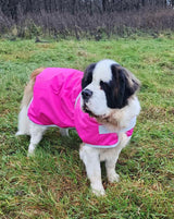 Pink Waterproof Dog Coat