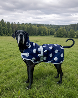 Navy and Grey Spotty Waterproof Dog Coat