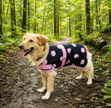 Pink Spotty Dog Coat