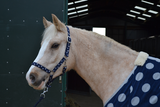 Blue Spotty Headcollar