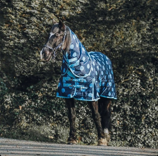Blue Spotty 200g Stable Rug – Rachael Kelly Equestrian Accessories