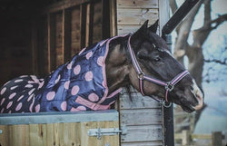 Pink Spotty 50g Stable Rug