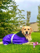 Purple Waterproof Dog Coat