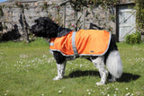 Orange Waterproof Dog Coat - END OF LINE WAS £23 NOW £15