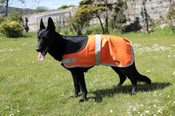 Orange Waterproof Dog Coat - END OF LINE WAS £23 NOW £15