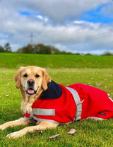 WAS £25 now £15 Red Waterproof Dog Coat
