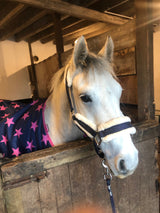 Navy Sparkly Fleece Lined Headcollar and Leadrope Set