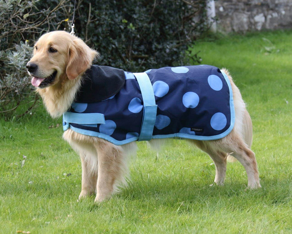 END OF LINE OFFER WAS £25 NOW £15 Blue Spotty Waterproof Dog Coat