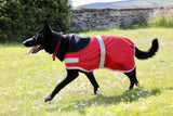 Red Waterproof Dog Coat
