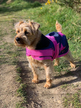 END OF LINE OFFER WAS £25 now £15. Only XS and S left. Pink Stars Waterproof Dog Coat