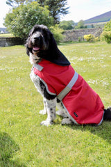 WAS £25 now £15 Red Waterproof Dog Coat