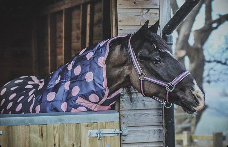 Pink Stable Rug Pink Spotty 200g Stable Rug – Rachael Kelly Equestrian Accessories