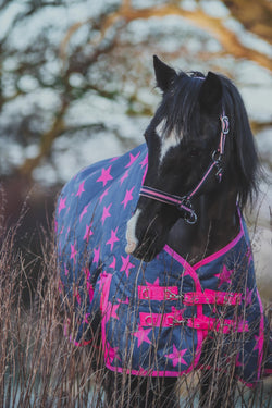 50g Pink Stars Turnout Rug