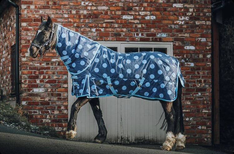 Blue Spotty 100g Stable Rug – Rachael Kelly Equestrian Accessories