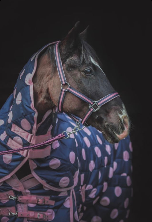 Pink Stable Rug Pink Spotty 200g Stable Rug – Rachael Kelly Equestrian Accessories