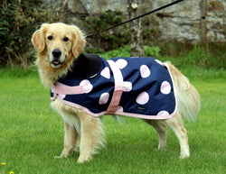 END OF LINE OFFER WAS £25 NOW £15. S, XL, XXL, 3XL LEFT. Pink Spotty Dog Coat