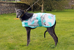 Teal Umbrellas Dog Coat
