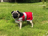END OF LINE OFFER was £25 now £15 Red Waterproof Dog Coat