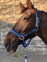 Blue Stripe Headcollar and Leadrope Set