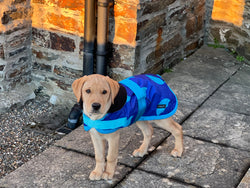 Blue Umbrellas Dog Coat