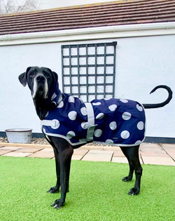 Navy and Grey Spotty Waterproof Dog Coat