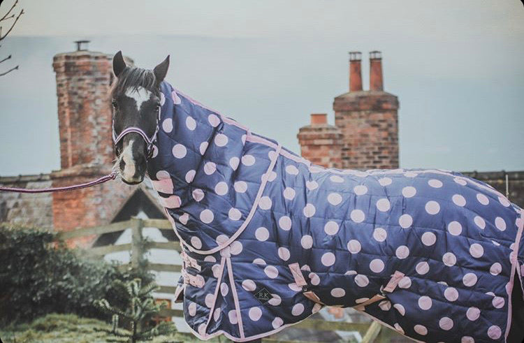 Pink Stable Rug Pink Spotty 200g Stable Rug – Rachael Kelly Equestrian Accessories