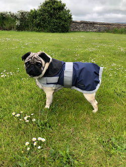 Navy Waterproof Dog Coat