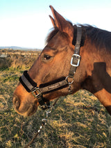 Black Sparkly Fleece Lined Headcollar and Leadrope Set