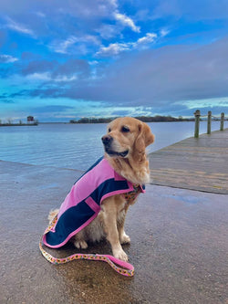 Navy and Pink Fleece Dog Coat