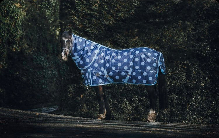 Blue Spotty 100g Stable Rug – Rachael Kelly Equestrian Accessories