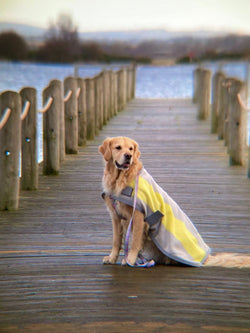 Grey and Lemon Fleece Dog Coat