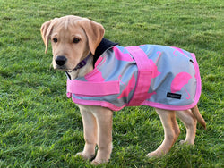Pink Umbrellas Waterproof Dog Coat
