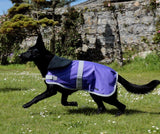 Purple Waterproof Dog Coat